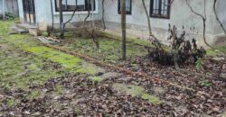 Дом в Слободзее, участок 17 соток
