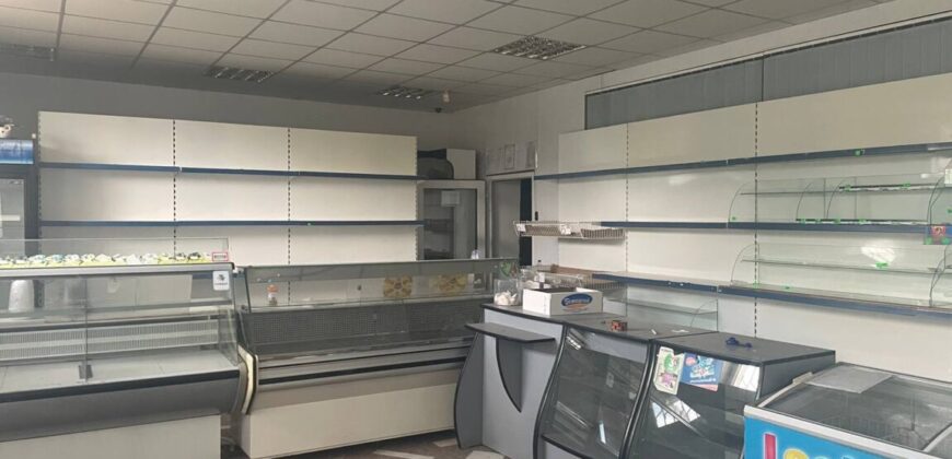 Дом с земельным участком и зданием под магазин