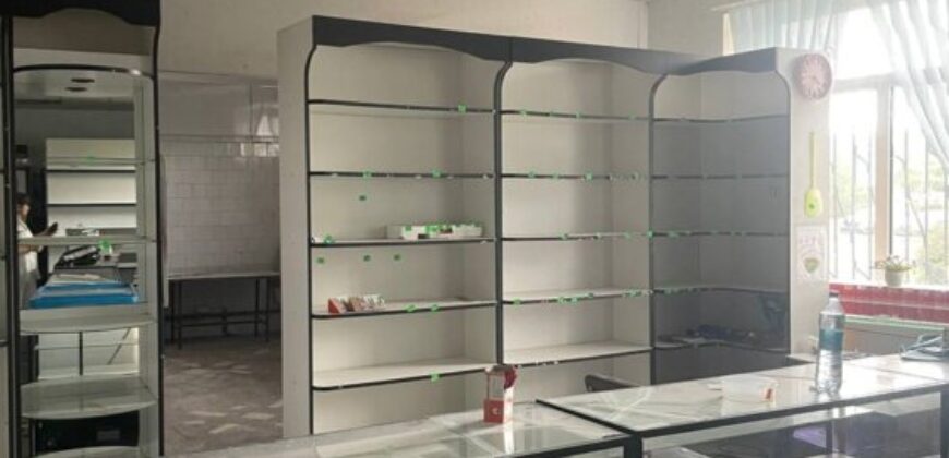 Дом с земельным участком и зданием под магазин