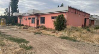 Дом с земельным участком и зданием под магазин