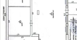 Дом с земельным участком и зданием под магазин